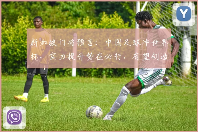 新加坡门将预言：中国足球冲世界杯，实力提升势在必行，有望创造历史