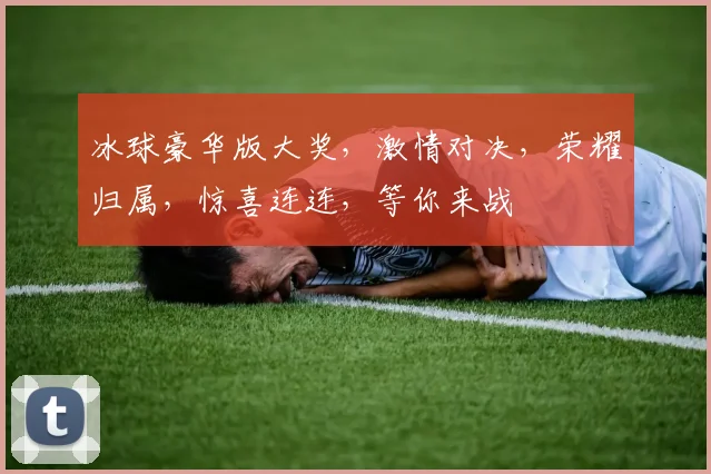 冰球豪华版大奖，激情对决，荣耀归属，惊喜连连，等你来战