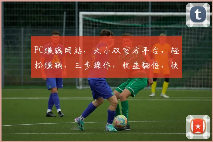 PC赚钱网站，大小双官方平台，轻松赚钱，三步操作，收益翻倍，快来加入