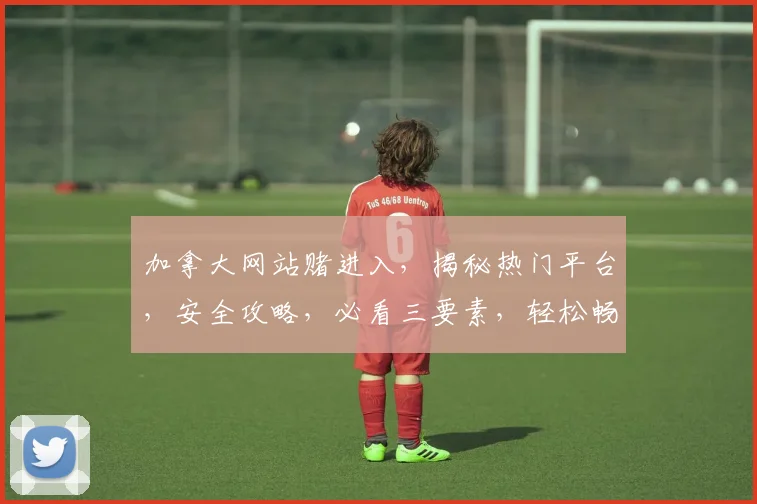 加拿大网站赌进入，揭秘热门平台，安全攻略，必看三要素，轻松畅游