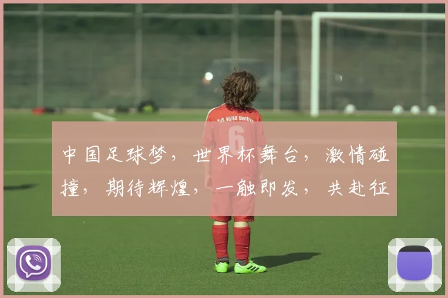 中国足球梦，世界杯舞台，激情碰撞，期待辉煌，一触即发，共赴征程