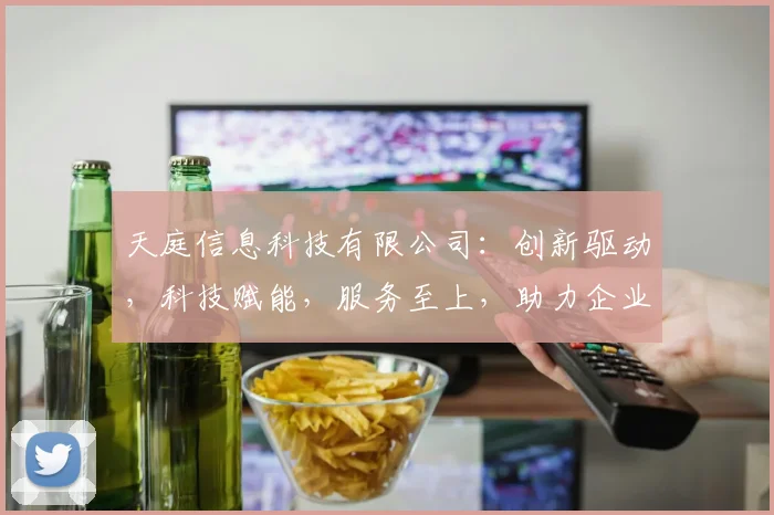 天庭信息科技有限公司：创新驱动，科技赋能，服务至上，助力企业腾飞，行业先锋。