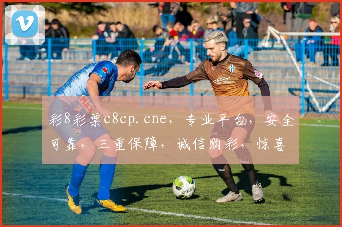 彩8彩票c8cp.cne，专业平台，安全可靠，三重保障，诚信购彩，惊喜连连